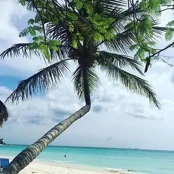 Aparthotel Tropical Digs Oranjestad 4*,